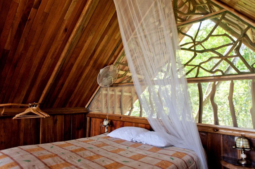Villa Bio Thermales Hot Springs à Palmera Extérieur photo